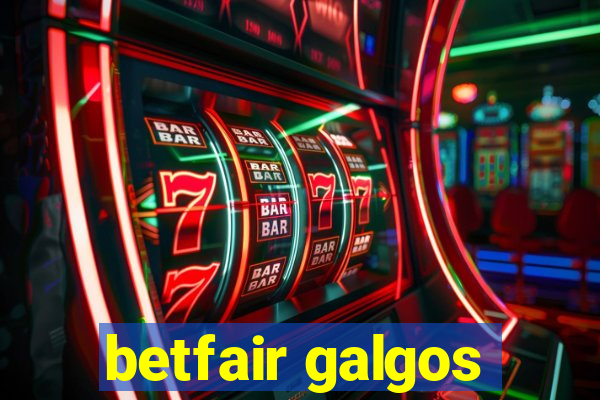 betfair galgos